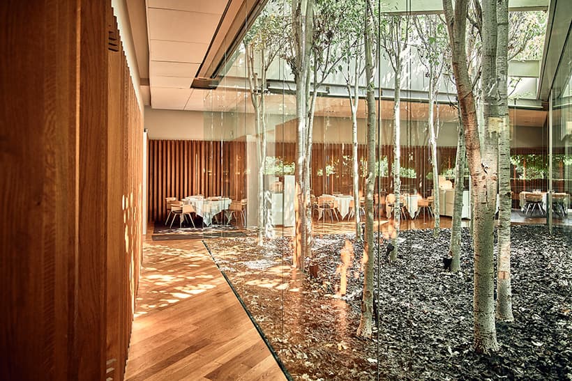 Interior del restaurante